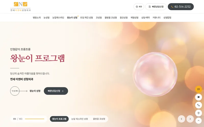 연세이앤비성형외과 리뉴얼 미리보기 첫 화면